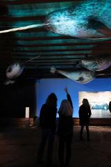 Fast 115.000 Gäste nach gut drei Wochen – die neue Ausstellung „Planet Ozean“ bricht alle Rekorde